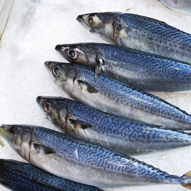 제주산 손질 고등어, 조림용, 4개, 210g(조림용)