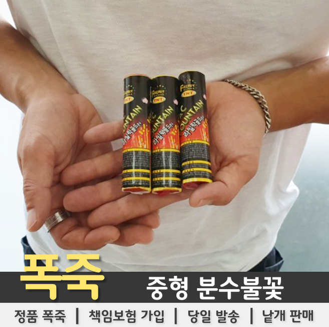 티앤씨몰 중형 분수불꽃(라일락분수)