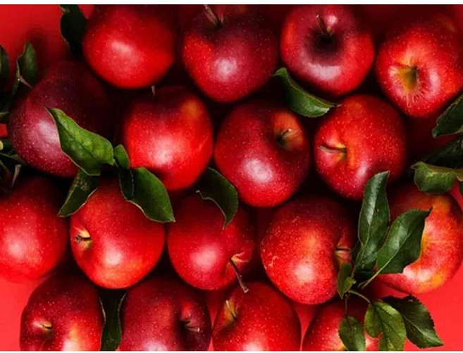 디모아 DIY 보석십자수 라운드 비즈 30 x 40 cm, 1세트, 빨간 사과