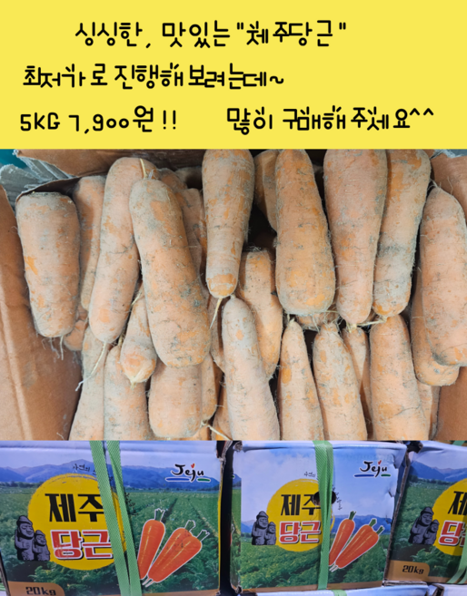 [임가네농산] 당근 국내산 제주당근 5KG 10KG, 1개