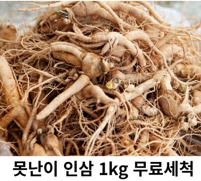 못난이 인삼 5년근 파지 인 인삼파삼 못난이실속형 인삼, 1kg, 1개, 1kg 인삼 파삼 세척( 0 )
