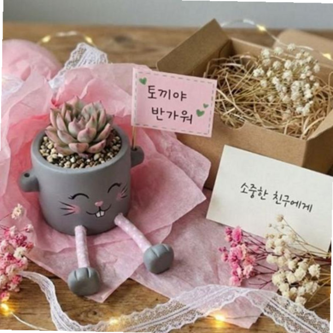 어린이화분키트 어린이 다육 식물 풀세트 화분 키우기 59000EA 1EA, 본상품