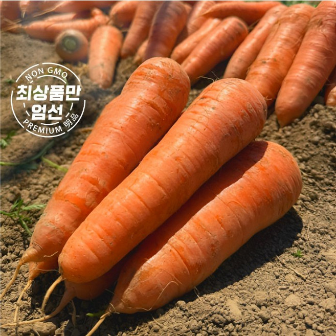 솔이네 싱싱 제주 햇 구좌 흙당근, 1박스, 10kg 상