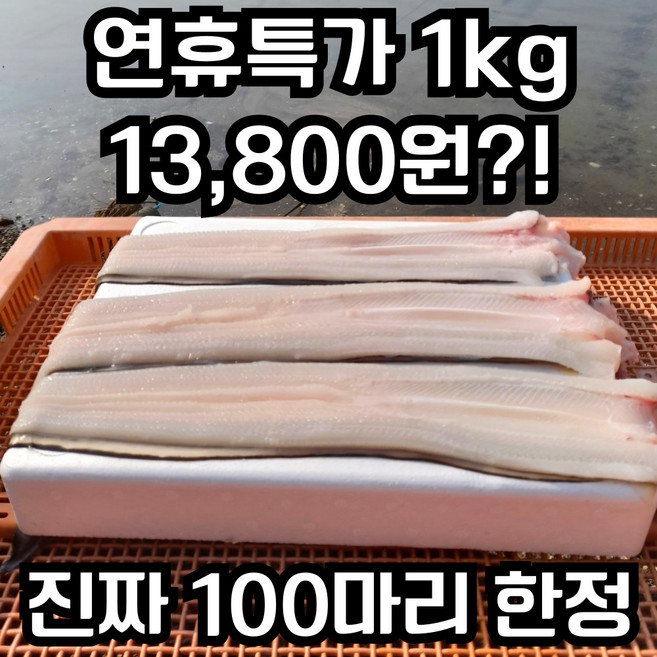 [초초특가] 통영 장어 바다장어, 1개, 1kg