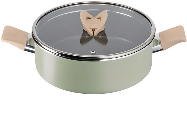 테팔 인덕션 티타늄 블라썸 전골냄비, 24cm, 민트, 1개