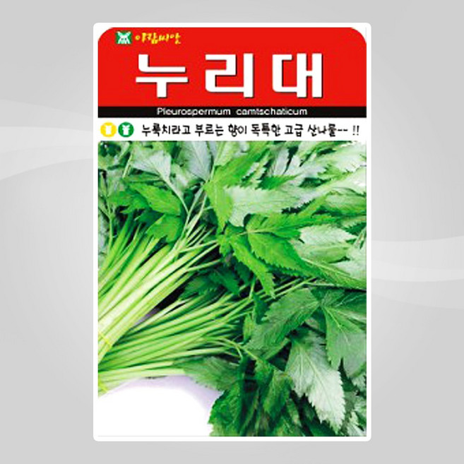 누리대 20립 아람 26년 민속채소씨앗, 1개