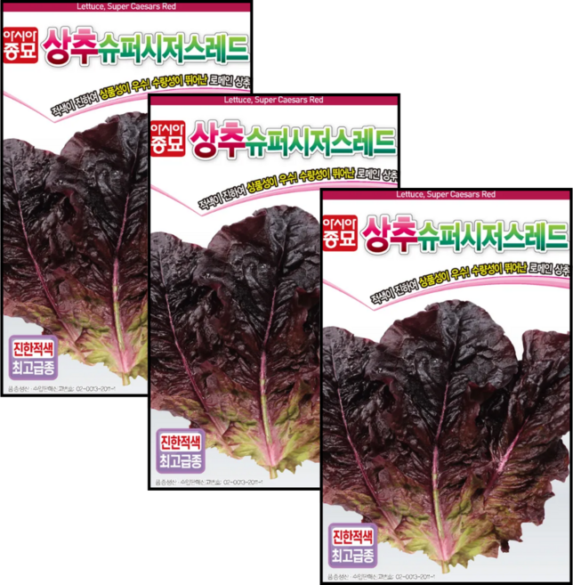 적로메인씨앗 (1000립x 3) 빨간 로메인 유럽 상추 텃밭 쌈채 씨앗, 3개