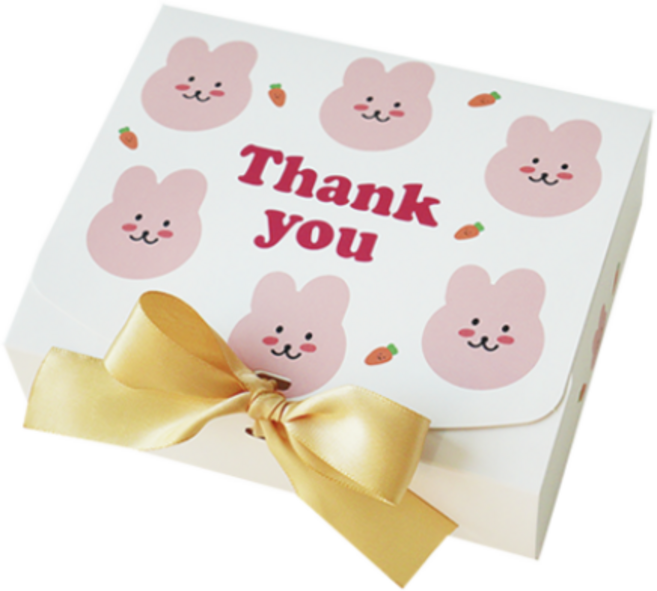 도나앤데코 직사각 선물 포장 상자 중 5p + 리본 5p, 래빗 화이트., 5세트