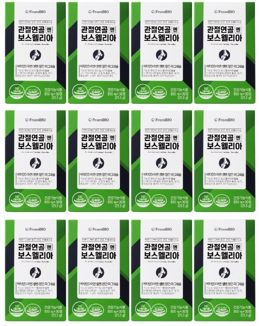 이병헌 관절앤 보수엘리아 연골앤 관절 보스웰리스 보스웰니아 약6개월분, 30정, 12개