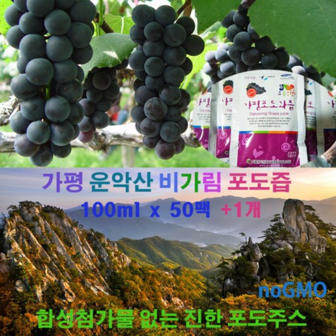 가평운악산 포도즙50포+1팩 켐벨100%착즙효능 어버이생신 임산부음료 환절기원액 아이간식 [원산지:국산(경기도 가평군)], 2.새콤달콤 진한맛 [50+1개] 알미늄팩, 50개, 110ml