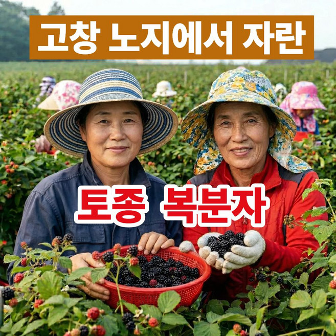 더맛곳간 국내산 고창 복분자 열매 냉동 토종복분자 농가직송, 1개, 5kg 상품