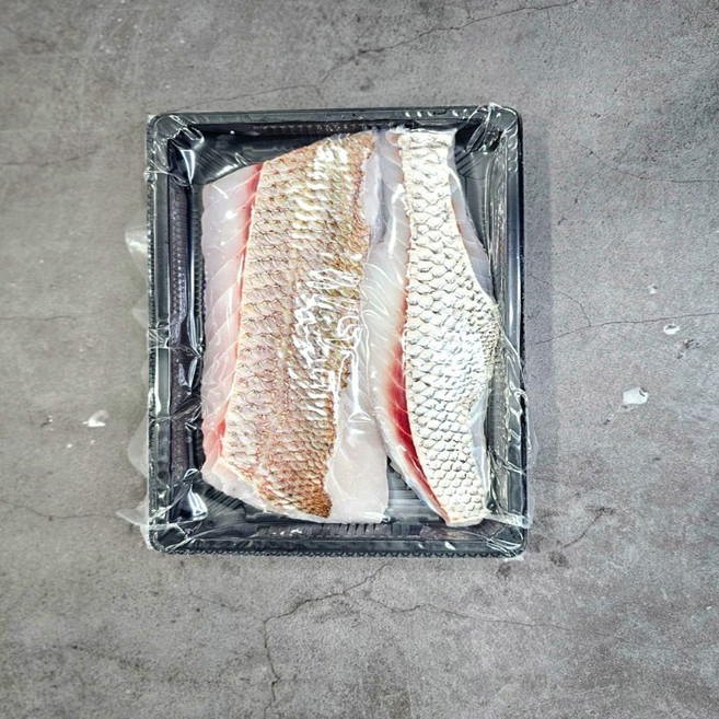 청담농수산 산지직송 100% 자연산 참돔회 필렛, 1개, 200g