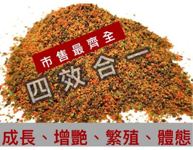 豐年蝦蚯蚓脆片 小型魚專用緩沉飼料, 1個, 四效合一碎粒/中成魚用,500克, 500g