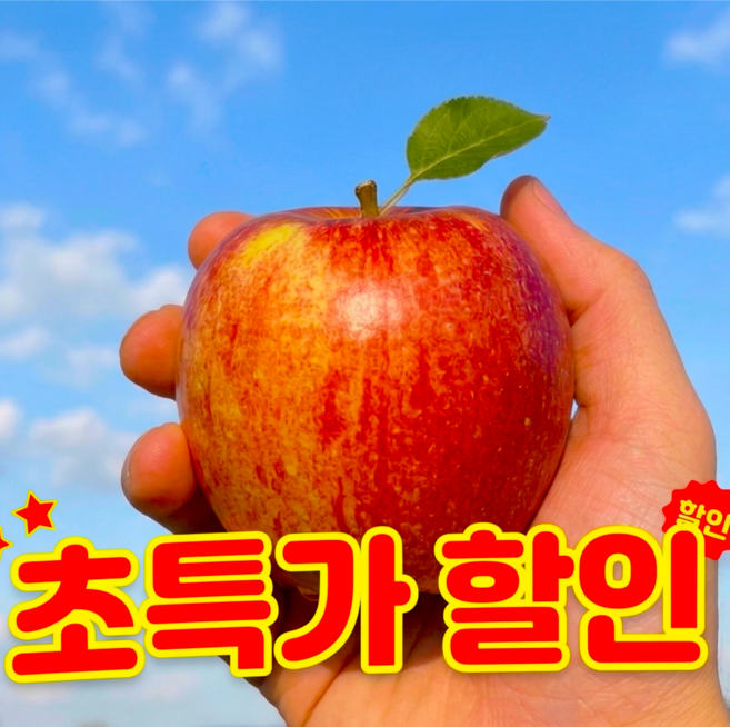 [한정수량] 할인이벤트 경북사과 고당도못난이사과, 1박스, 3kg