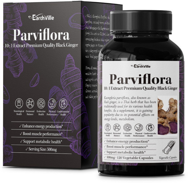 어스빌 파비플로라 흑생강 10배농축 추출물 500mg 베지캡슐 4개월분, 1개, 120정