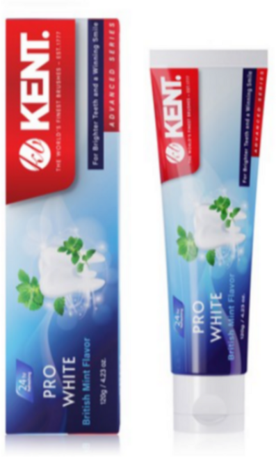 켄트 프로화이트 치약, 120g, 1개