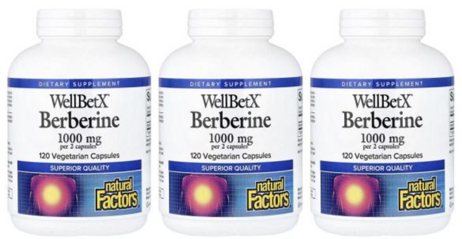 네추럴팩터스 웰벳X 베르베린 1000mg 베지테리안 캡슐, 3개, 120정