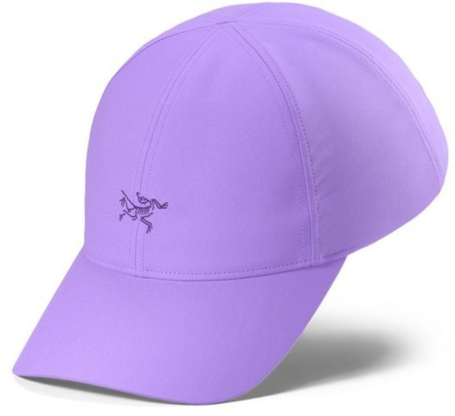 아크테릭스 FW25 스몰 버드 캡 AEPFU09782 FWS719 ILP789, ARCTIC SILK / SOLITUDE, S-M