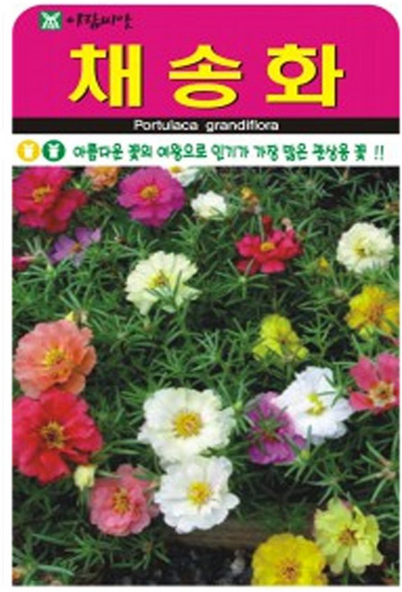 저스틴앤클로이 채송화5000립 고급꽃씨, 1개