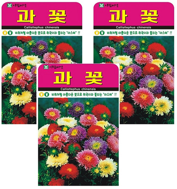 과꽃 씨앗 3개입 다년생 노지월동 꽃씨