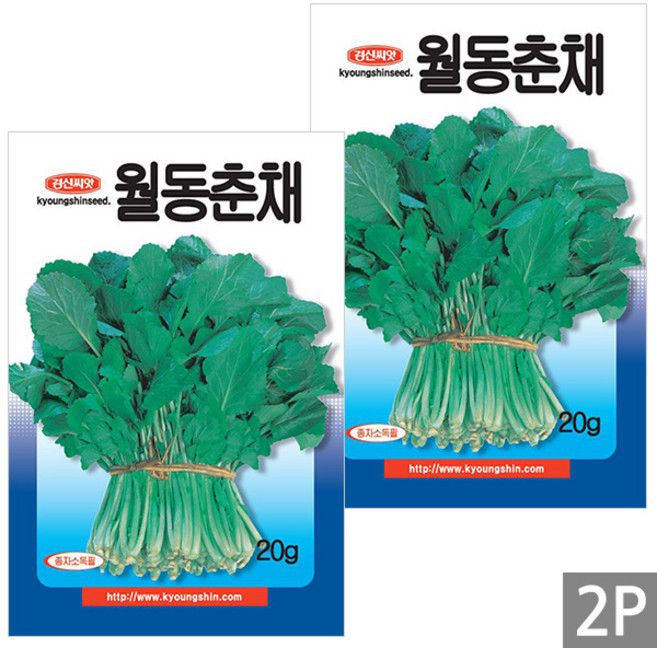 세인화분 월동 춘채 20g - 씨 씨앗 채소 야채 순무유채 삼동초 겨울초, 2개