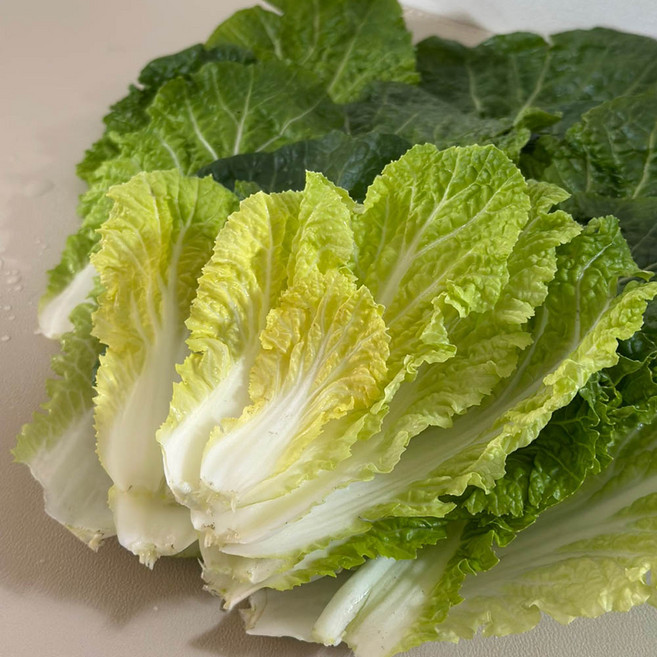 국내산 진도 해풍 봄동 1-3kg 3-16개, 진도해풍봄동5kg, 1kg