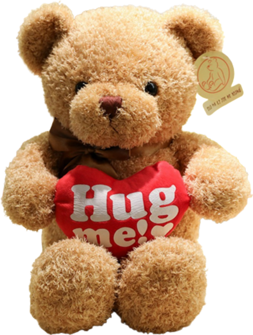 네이처타임즈 곰돌이 테디 봉제인형, 허그미 베이지, 70cm, 1개