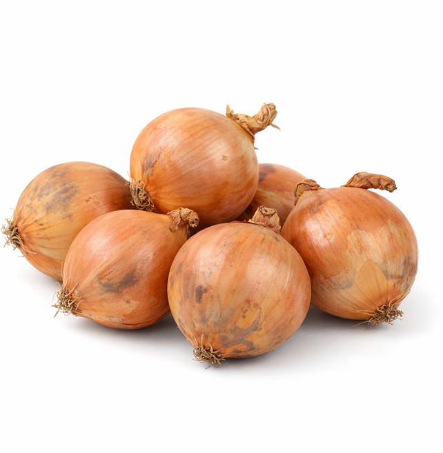 [리얼리티] 25년수확 국내산 햇양파, 1개, 3kg-중