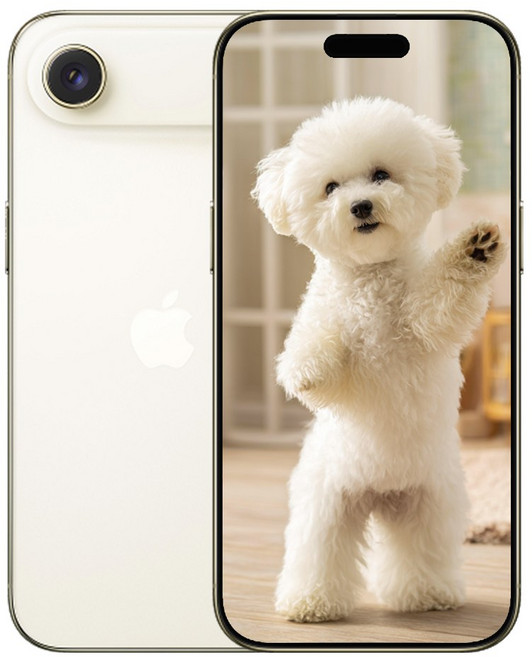 아E폰 17 Air 미개봉 새상품, 256GB, Apple 아이폰 17 Air 라이트골드