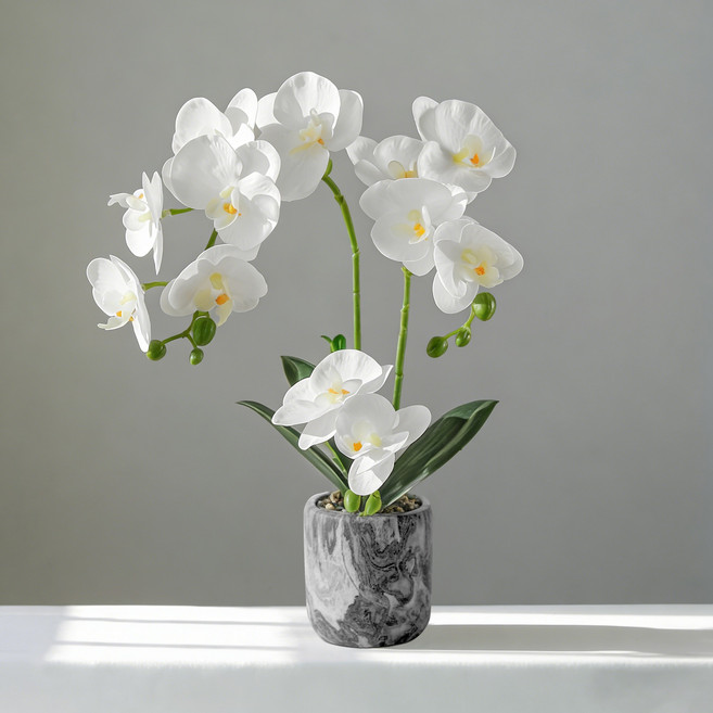 다이리슨 생화 같은 서양란 조화+ 대리석 화분 1set 예쁜 장식 난꽃 호접란 선물, 1개, 우아한 화이트