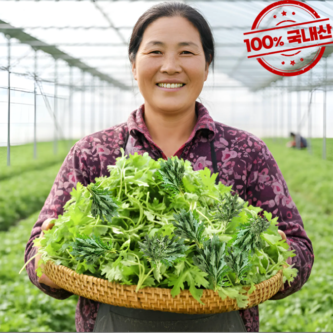 국내산 함평 쑥 노지 당일채취 생쑥 봄나물, 1개, 200g