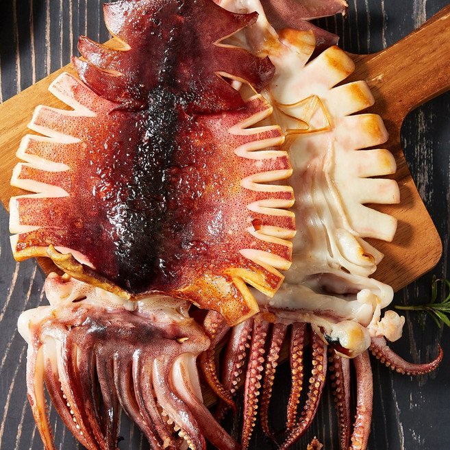 건어물천국 반건조 오징어 중소10미 800g, 반건조 오징어 10미 중소800g, 1개