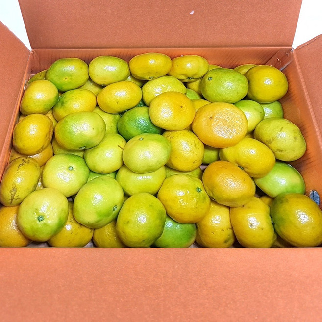 당도선별 제주 감귤, 1개, 10kg(가정용 2L-L 중대 실중량 9kg)
