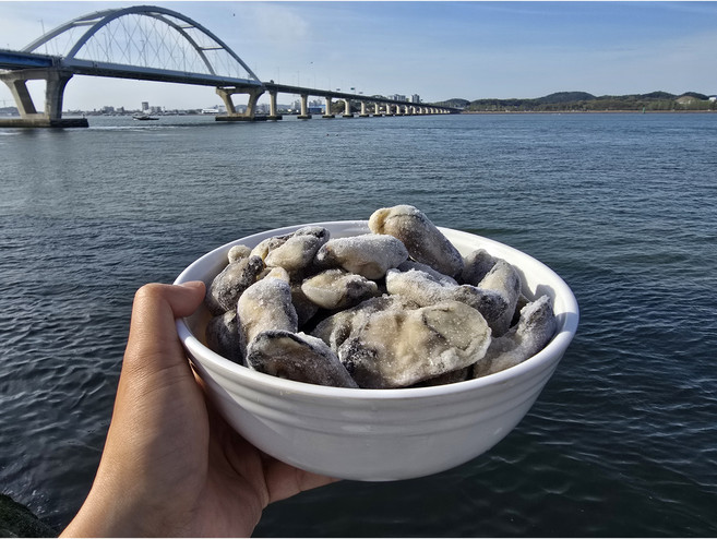 통영산 냉동굴 IQF 급냉동 신선한굴 업소용 가정용, 1개, 1KG