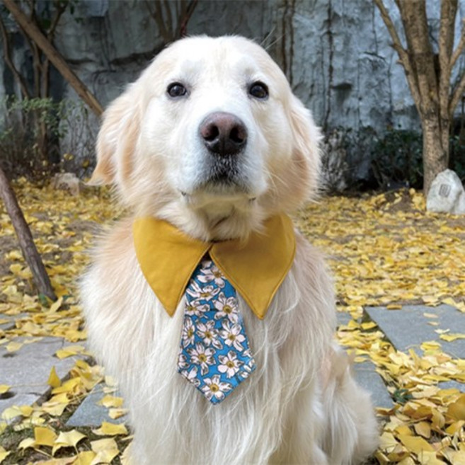 대형견 중형견 타액 수건 스카프 넥타이 턱받이 빨강 노랑 리트리버 도베르만, XL, 옐로우, 1개