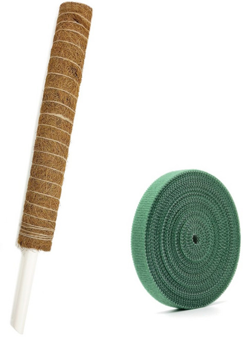 알루이 플라스틱 수태봉 몬스테라 식물 지지대 55cm 1개 + 벨크로 1개, 1세트
