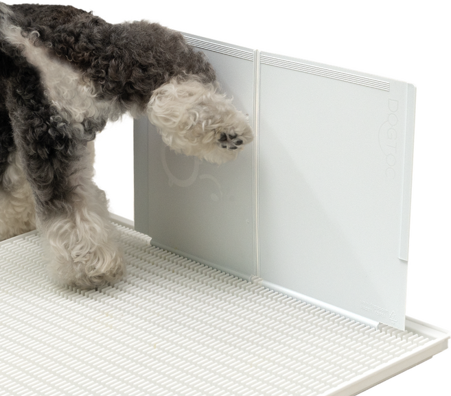 독톡 강아지 배변판 마킹 수비대, 화이트, 1개