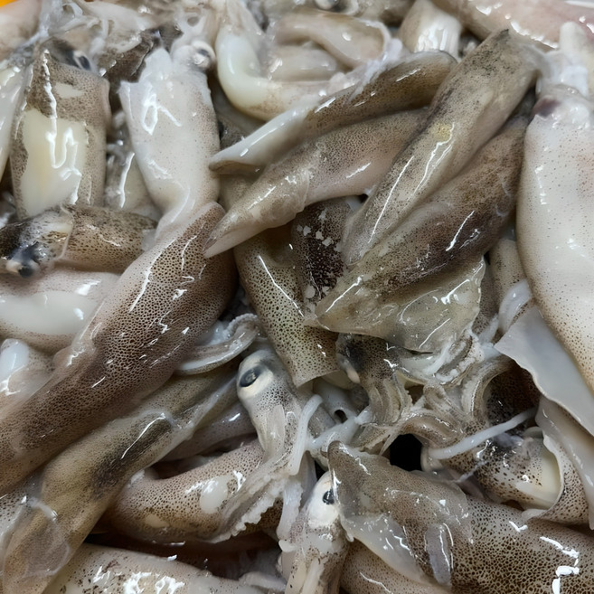 자연산 생물 급냉 총알한치 500g(15~25미 내외) 내장 통찜, 1개, 총알한치 2kg(500g*4팩)