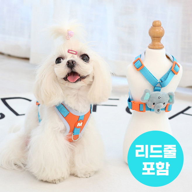 소형견 코끼리 하네스 견인줄 세트구성 원터치 버클, 1개, 민트오렌지