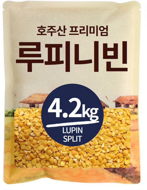 The큰나무 프리미엄 루피니빈 콩 호주산 루핀콩, 2.1kg, 2개