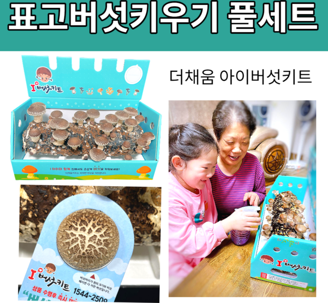 집에서 표고버섯키우기 표고 키트 키드 세트 버섯 키우기 재배 더채움