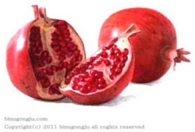 석류 추출물(Pomegranate Extract), 100ml, 1개