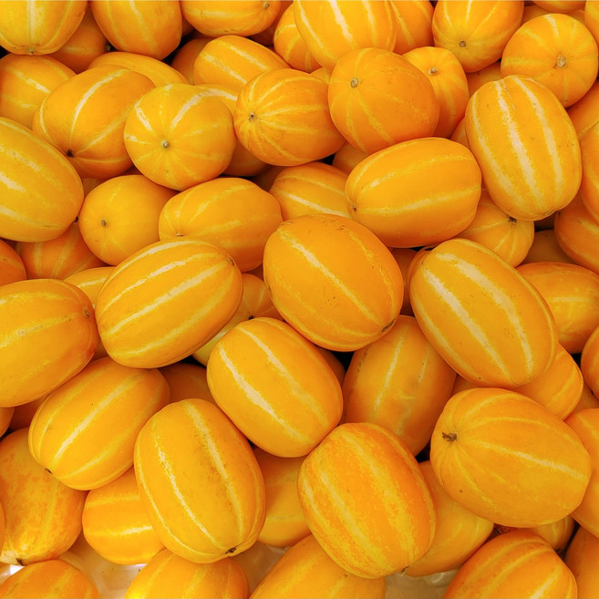 참외 성주참외 약목 벌꿀 못난이 참외 가정용 참외, 1박스, 10kg 내외