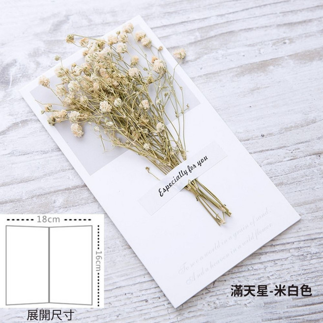 乾燥花卡片 萬用卡片, 1個, 滿天星｜米白色, 米白色
