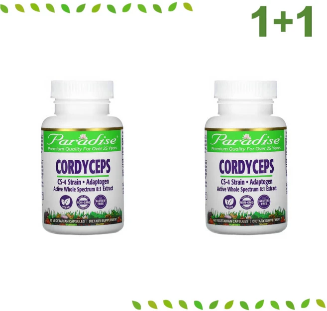 파라다이스 허브 코디셉스 동충하초 추출물 60정 2통 Paradise Herbs Cordyceps, 2개 - 쿠팡