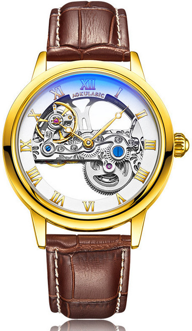 남성용 자동 기계식 시계 스켈레톤 디자인 투명 케이스백 가죽 스트랩 클래식 스타일 오토매틱 워치