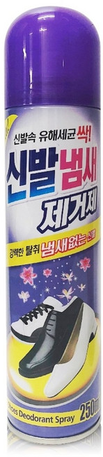 리빙굿 신발 냄새제거제 본품, 250ml, 2개