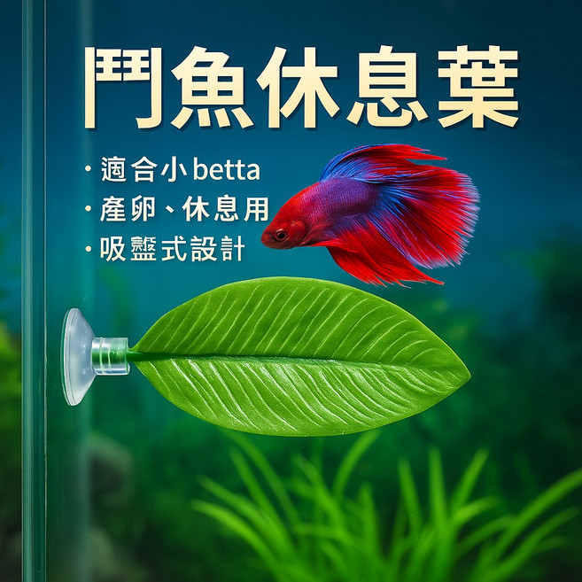 鬥魚葉 休息產卵葉 魚缸水族用品 鬥魚休息床, 1個