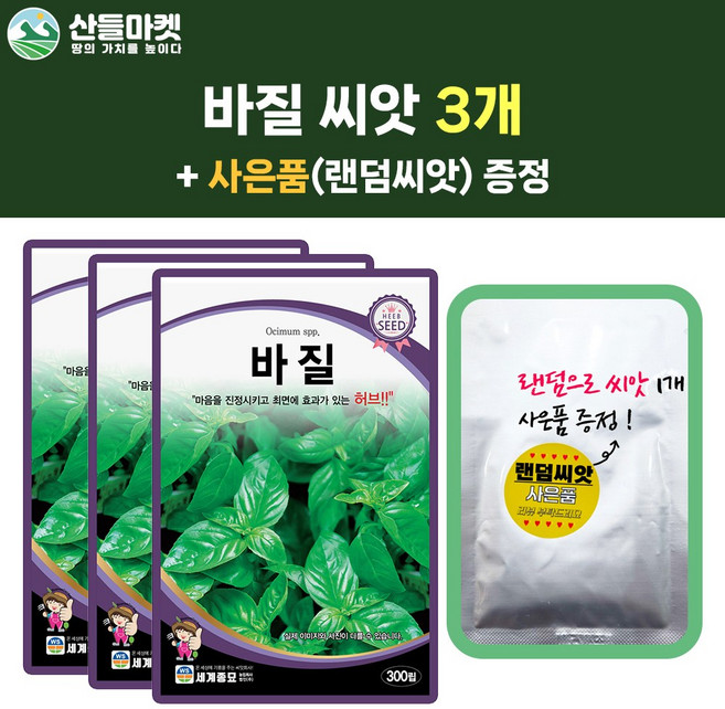 산들마켓 바질 씨앗 300립 바실 바질씨 허브 3개+랜덤 씨앗 1개 증정