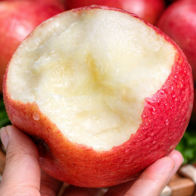 [선착순반값특가] 50박스한정 초고당도 아삭달콤 부사사과, 1개, 5kg